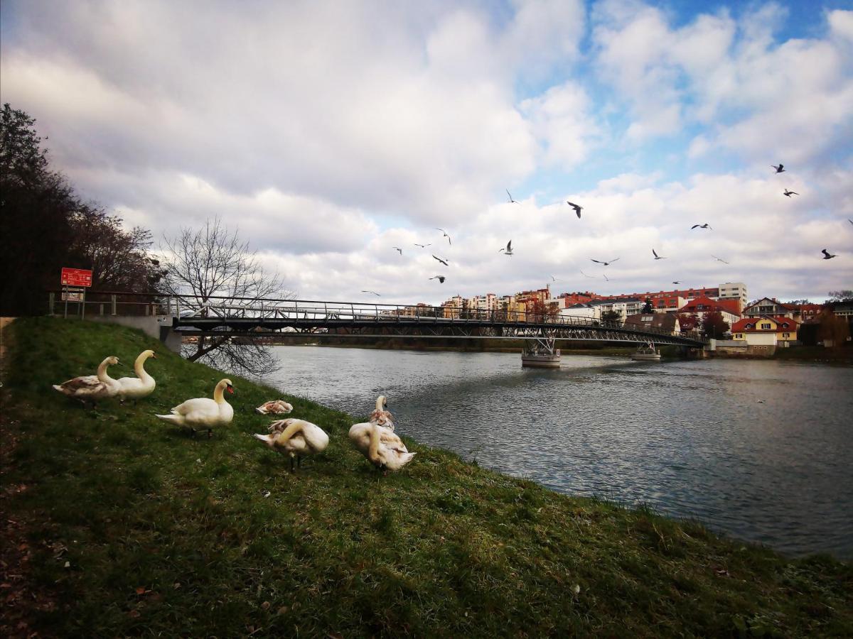 Apartment Lent Maribor Exteriér fotografie